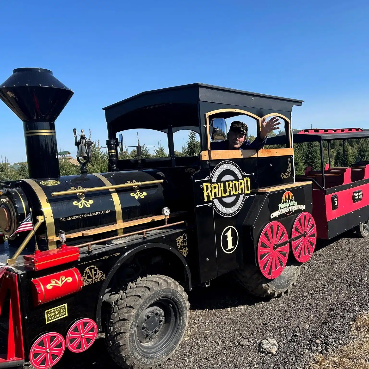 Piney Express at Piney Acres Farm