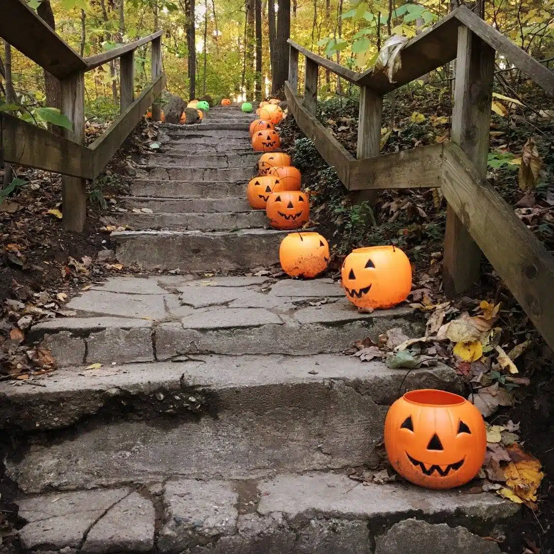 Hauntless Halloween at Holliday Park: A Parent Review 4 Pumpkins lighting the Hauntless Halloween trail at Holliday Park