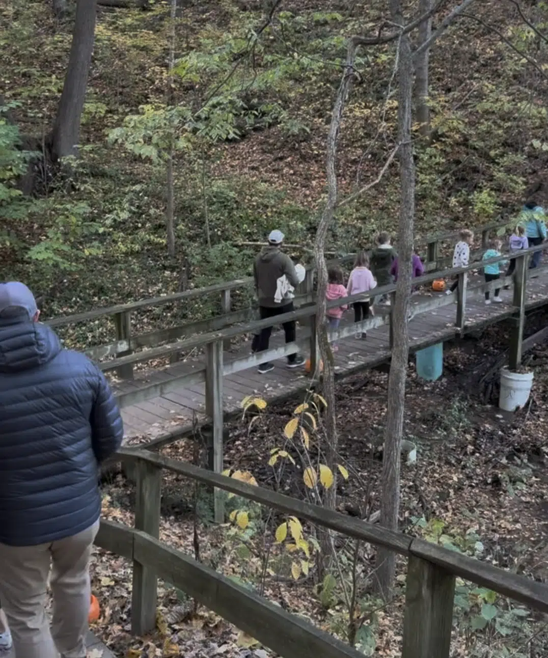 Hauntless Halloween at Holliday Park: A Parent Review 7 Families crossing a wooded bridge during Hauntless Halloween at Holliday Park