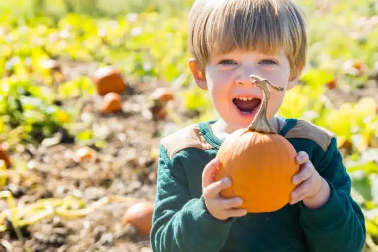 Toddler Time Fall on the Farm