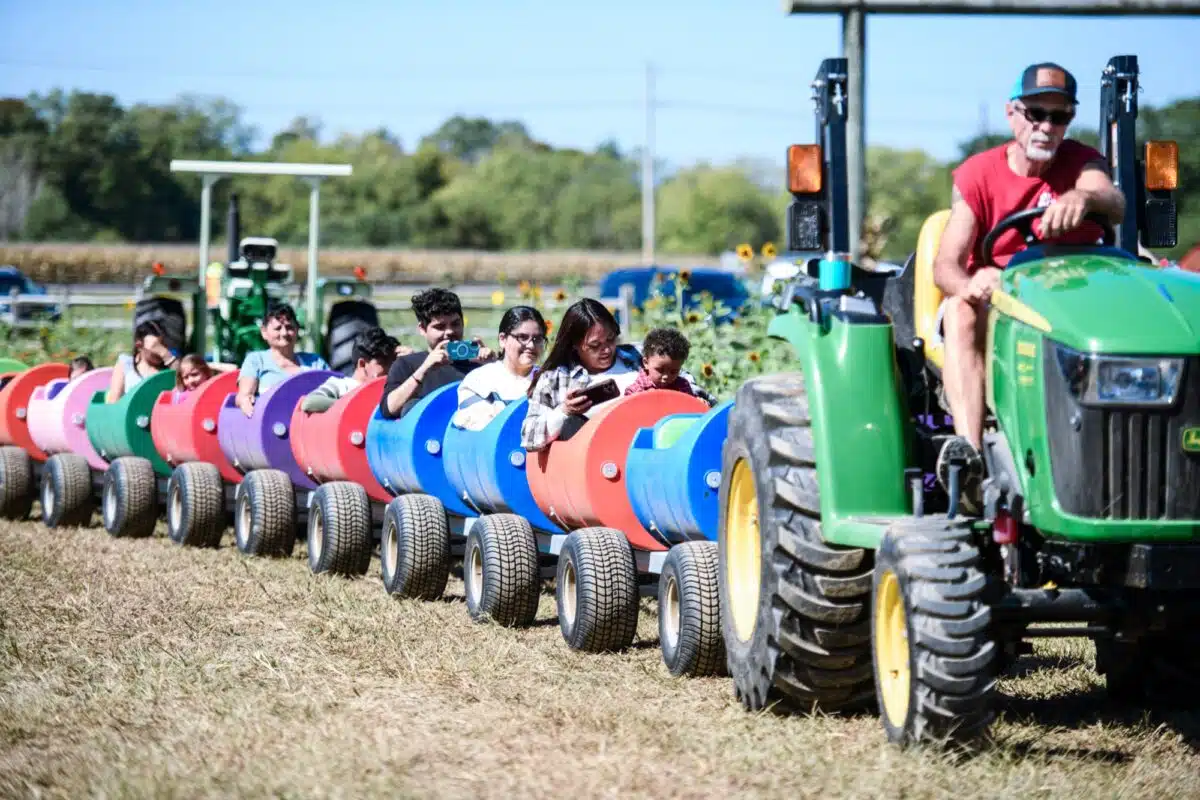 Families riding a colorful barrel train pulled by a tractor at Colts Fall Fest