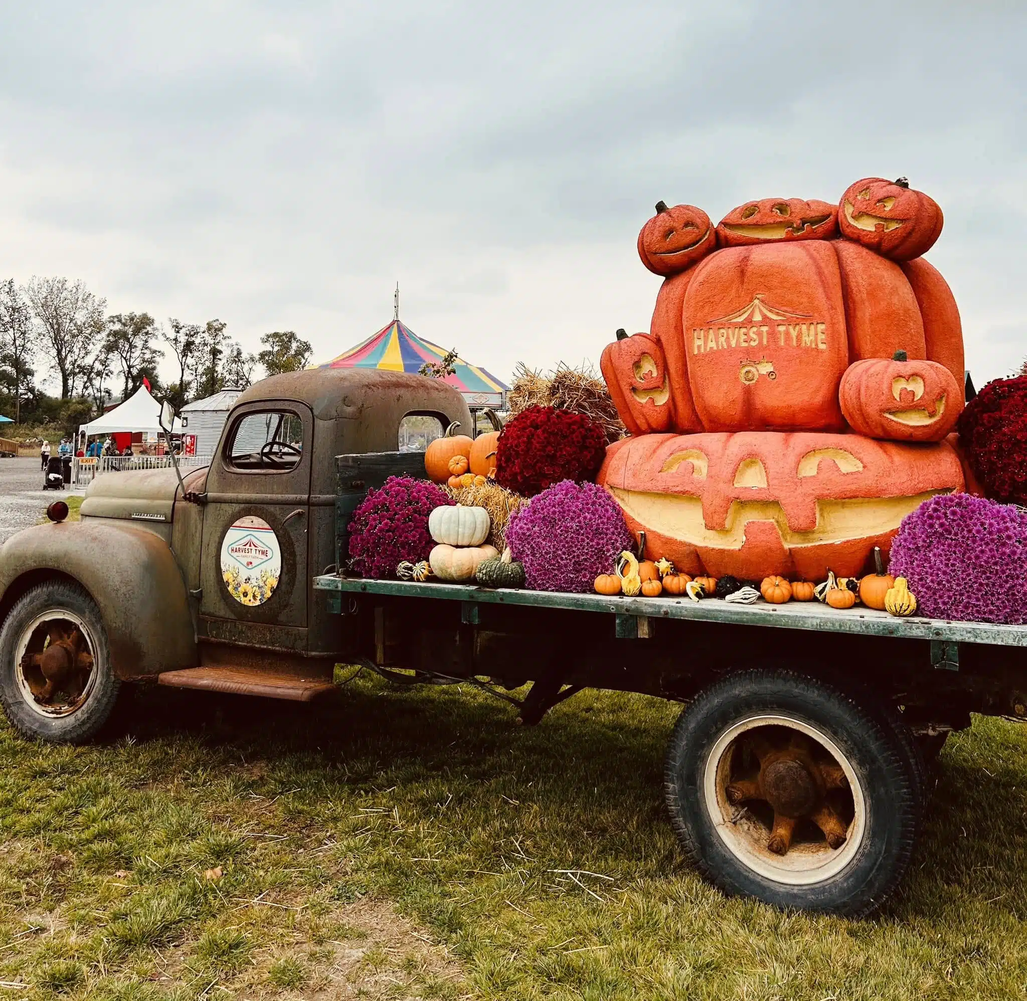 Wagon filled with pumpkins at Harvest Tyme Family Farm