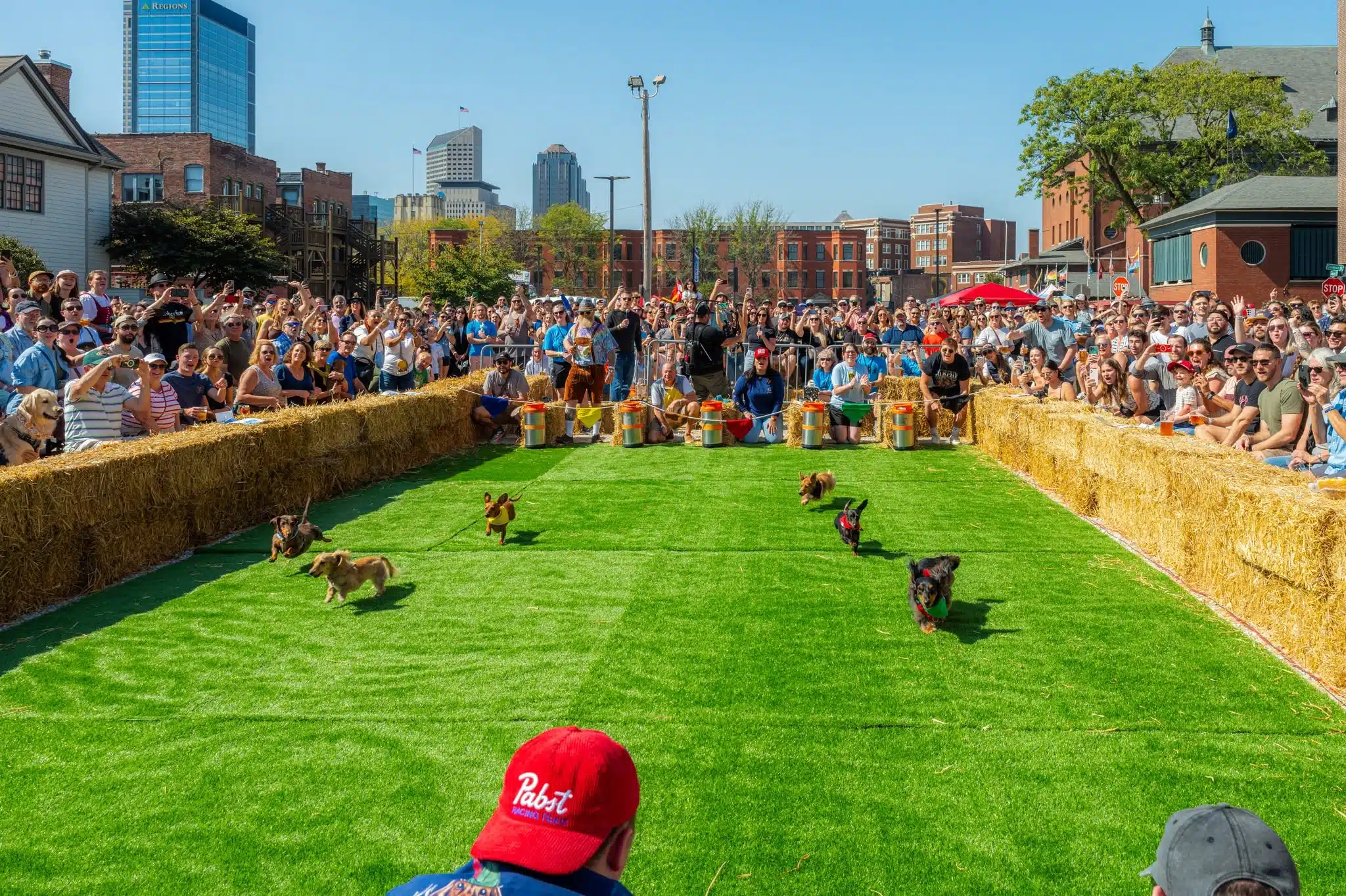 Things to Do This Weekend in Indianapolis with Kids | October 2-4, 2026 5 Dachshund Das