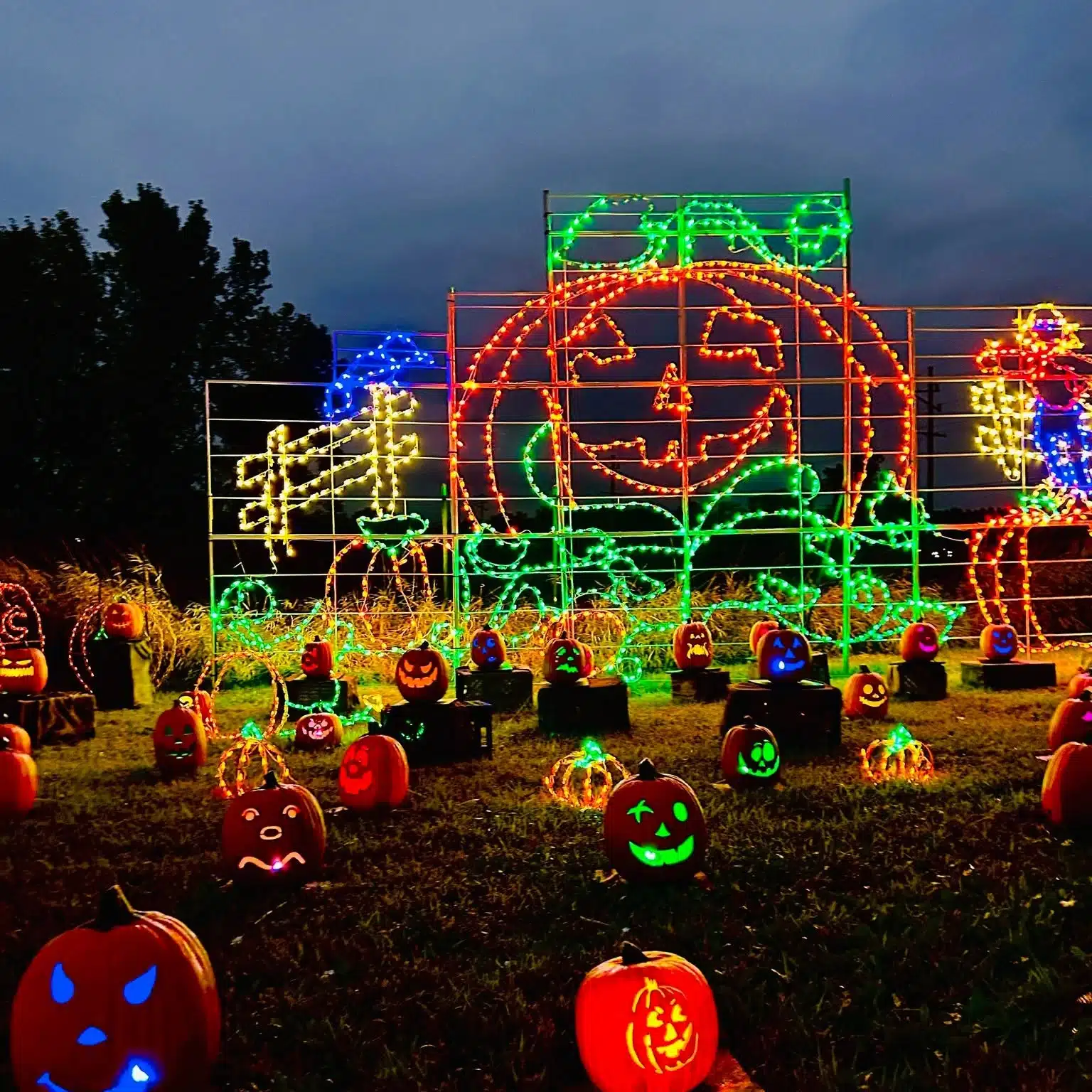 Colorful illuminated arch and pumpkin displays at Harvest Tyme
