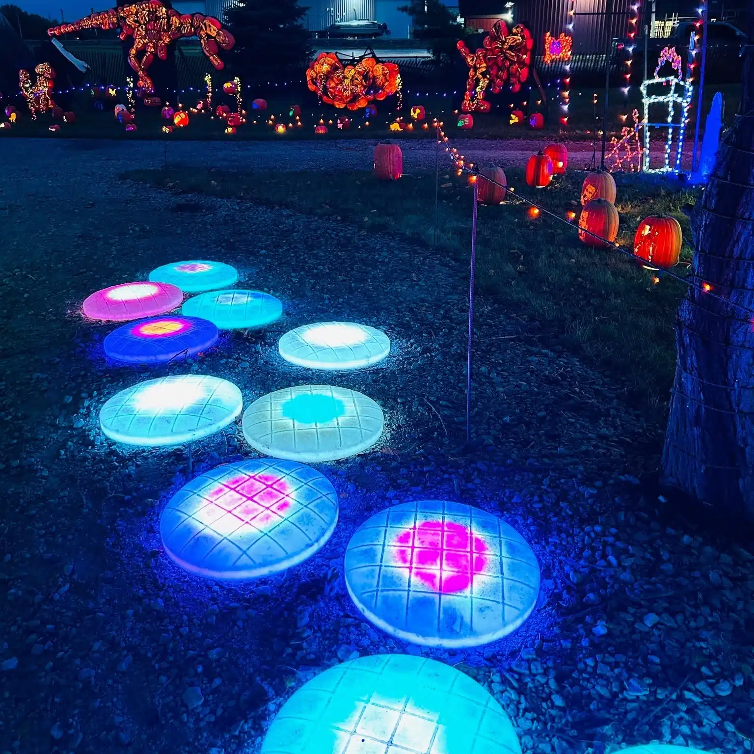 Colorful circular lights along a path at Harvest Tyme’s Pumpkin Glow Trail