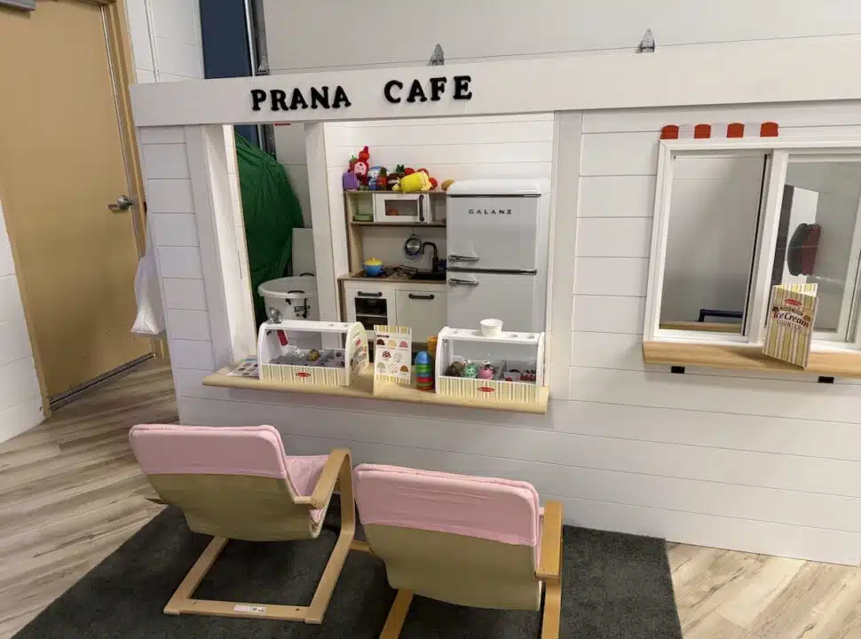 IMG_2799 Pretend veterinary clinic, play cafe and sensory activity table at Prana Play in Carmel