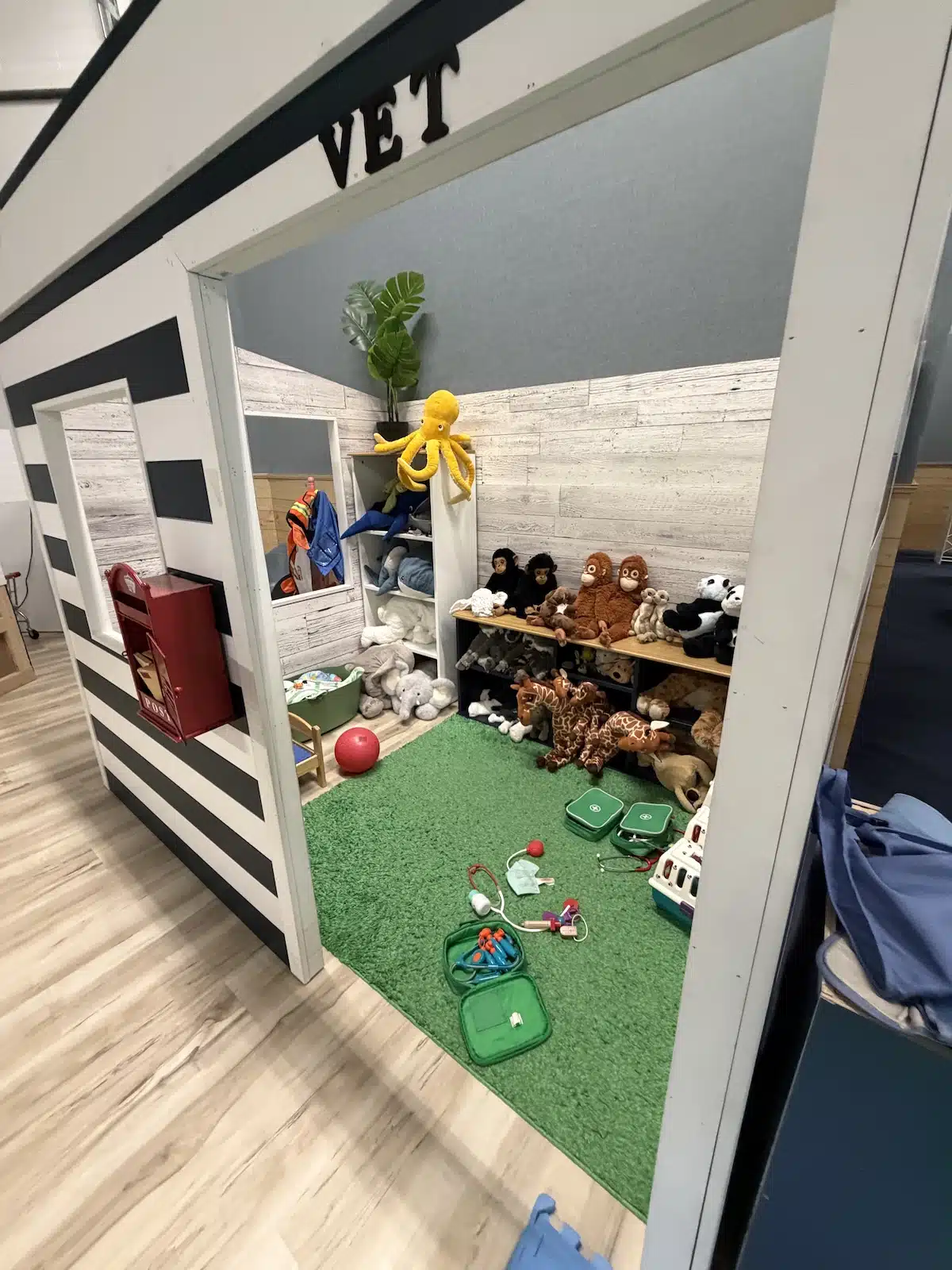 IMG_2837 Pretend veterinary clinic, play cafe and sensory activity table at Prana Play in Carmel