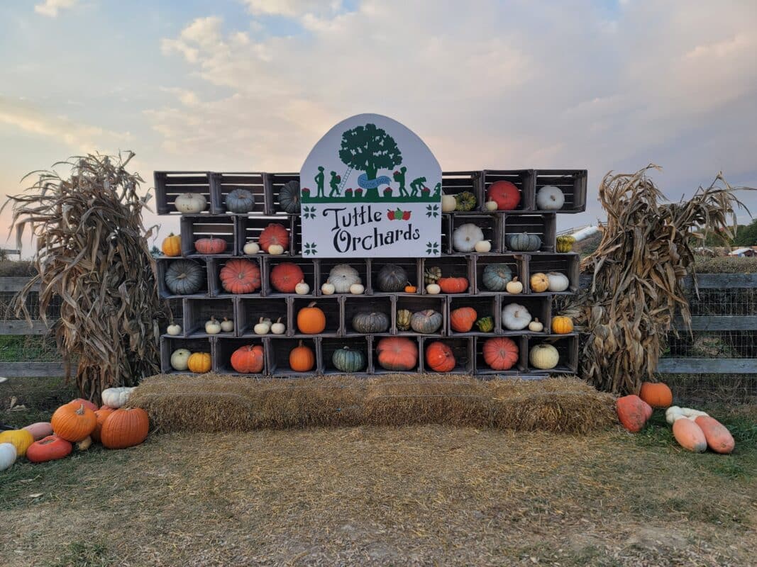 Fall at Tuttle Orchards