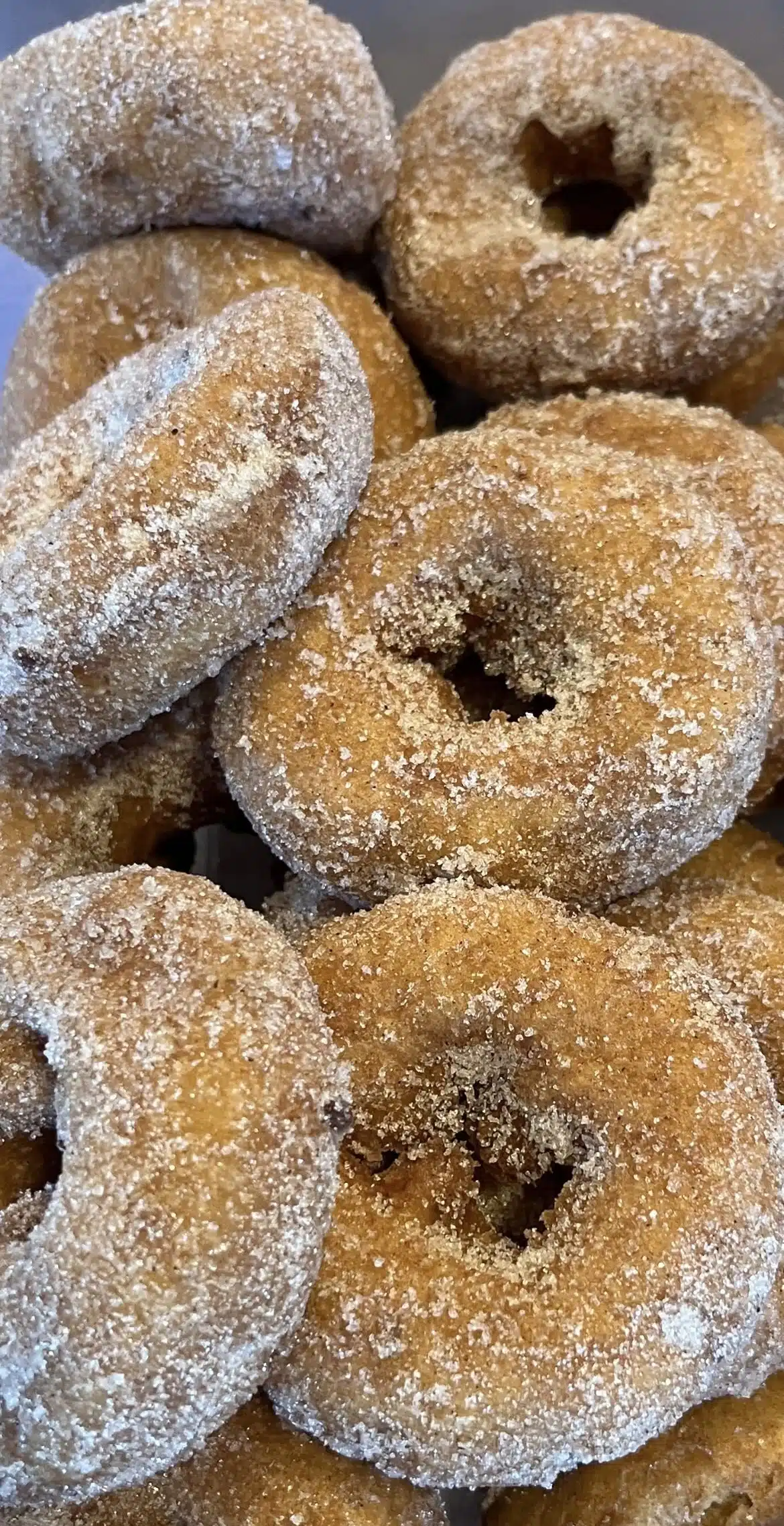 pple donut at Piney Acres Farm