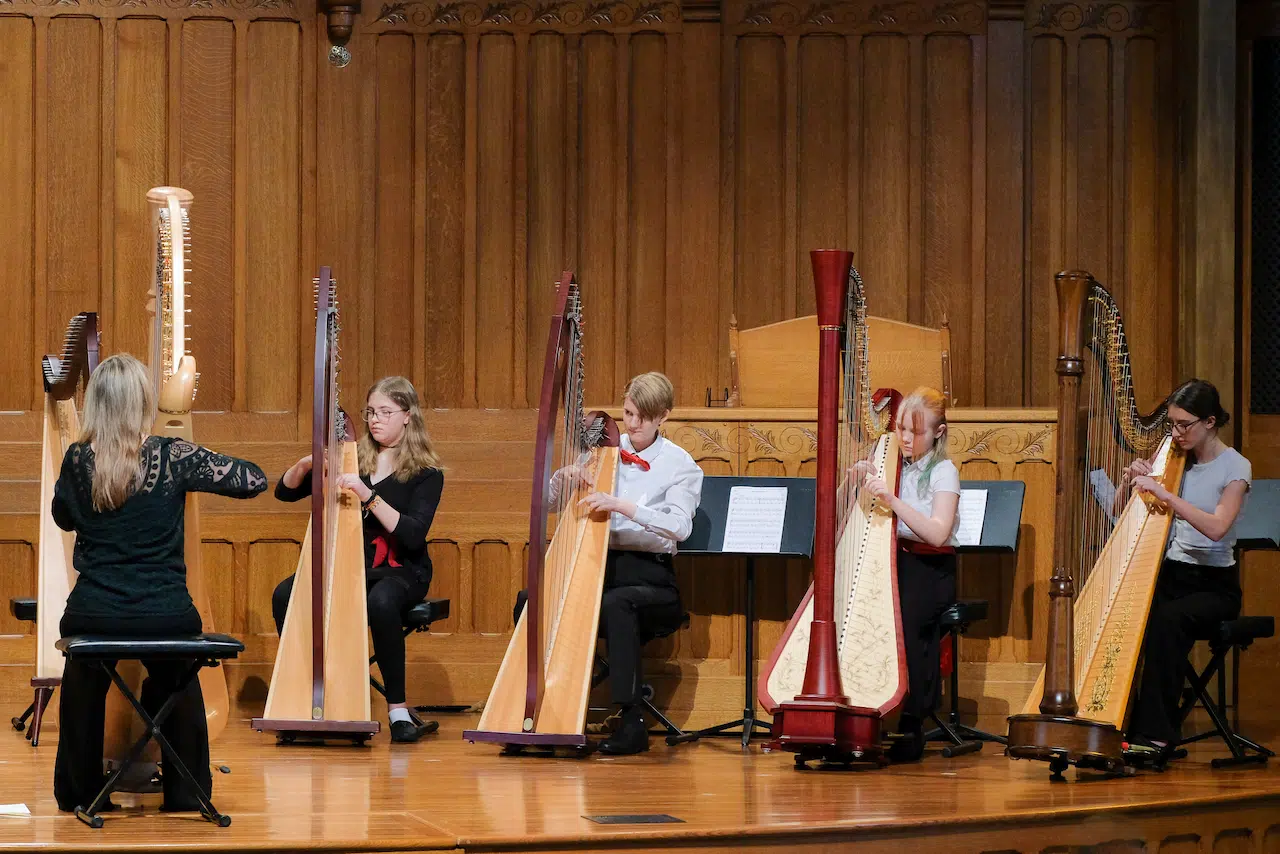 Young musicians performing together with string instruments and harp