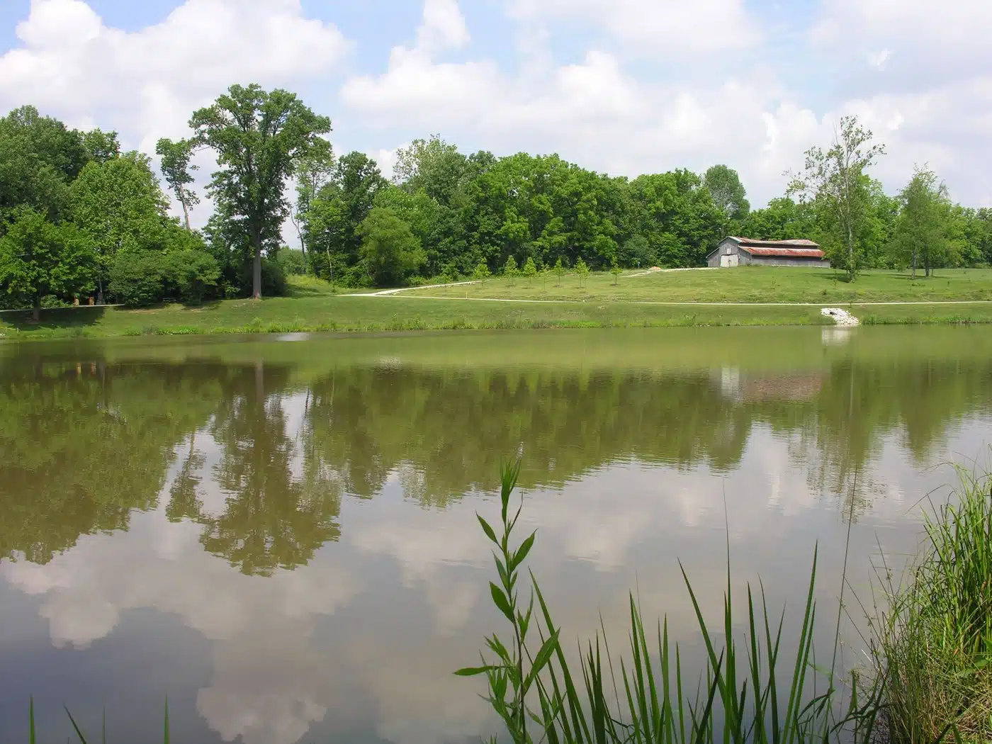 Things to Do in Avon with Kids (2026) 2 The lake at Blue Heron Park in Avon with trees and a barn on the far shore