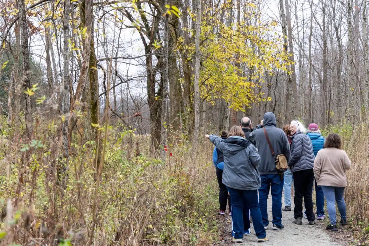 A group of hikers in jackets follows a gravel trail through a wooded park with yellow late-fall leaves as one points toward the trees