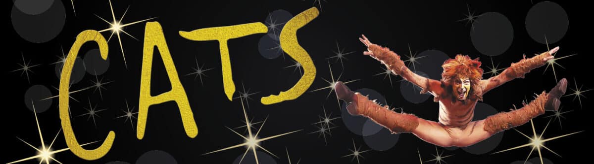 CATS at Beef & Boards Dinner Theatre