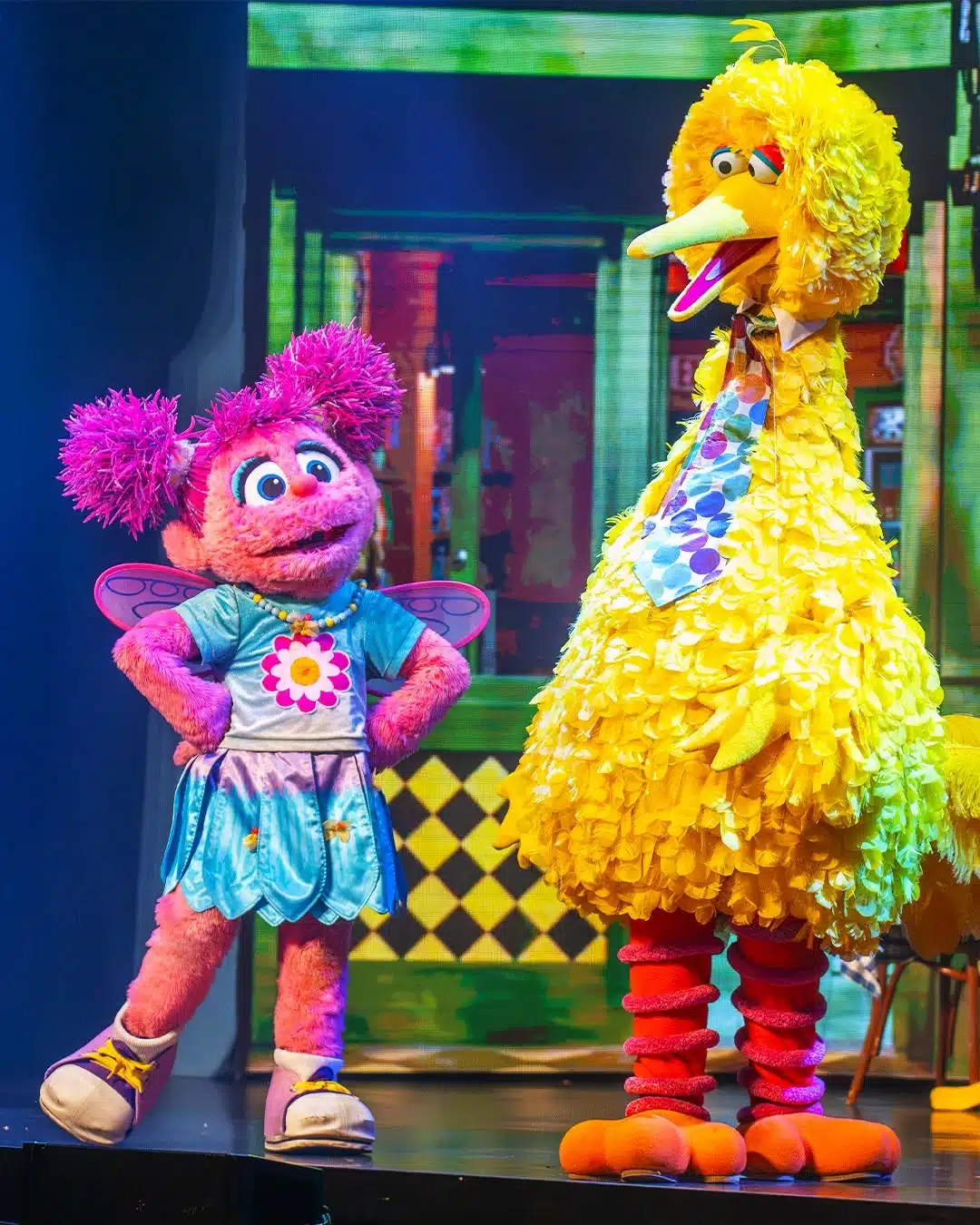 Abby Cadabby and Big Bird on stage in Sesame Street Live Elmo's Got the Moves
