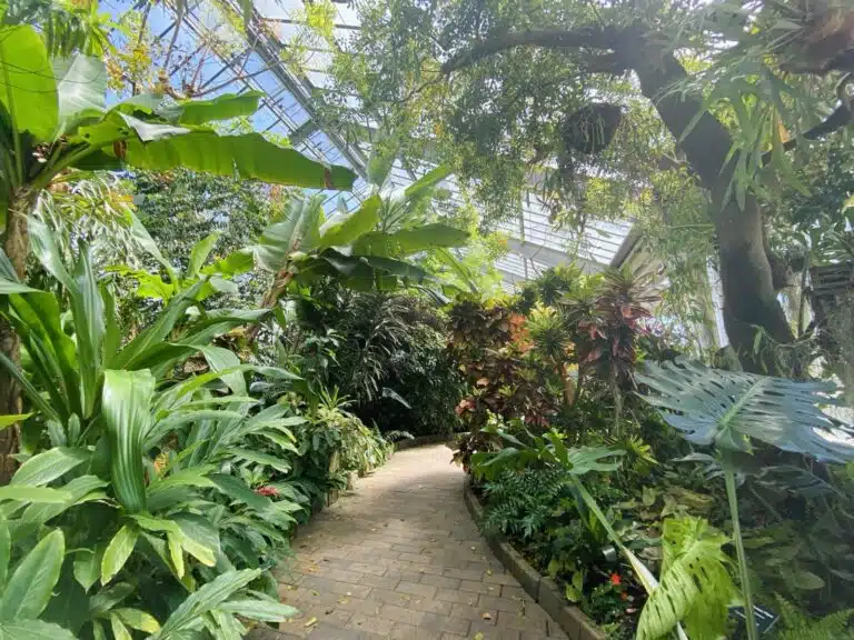 garfield park conservatory nature programs
