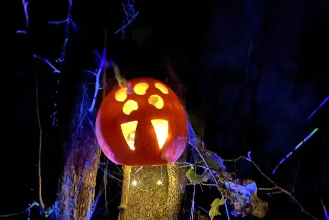 A glowing jack-o-lantern along a dark trail at McCloud Nature Park