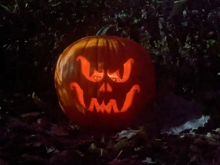 Falloween at McCormick's Creek State Park