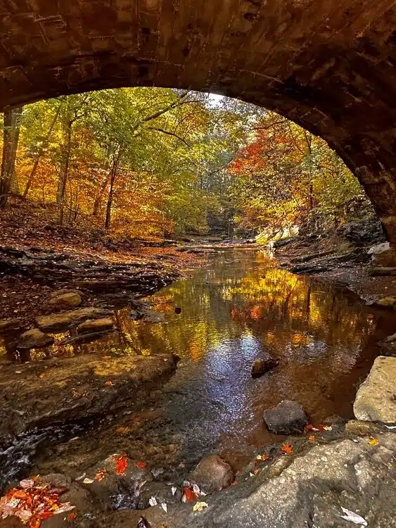 Family Fun Fall Night at McCormick's Creek State Park