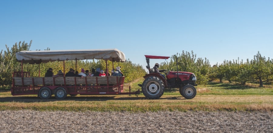 Tuttle Orchards