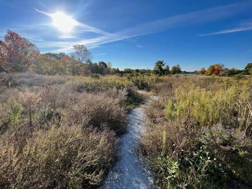 The woods and trails at West Park in Carmel
