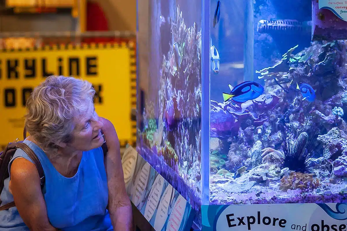 WonderLab Museum