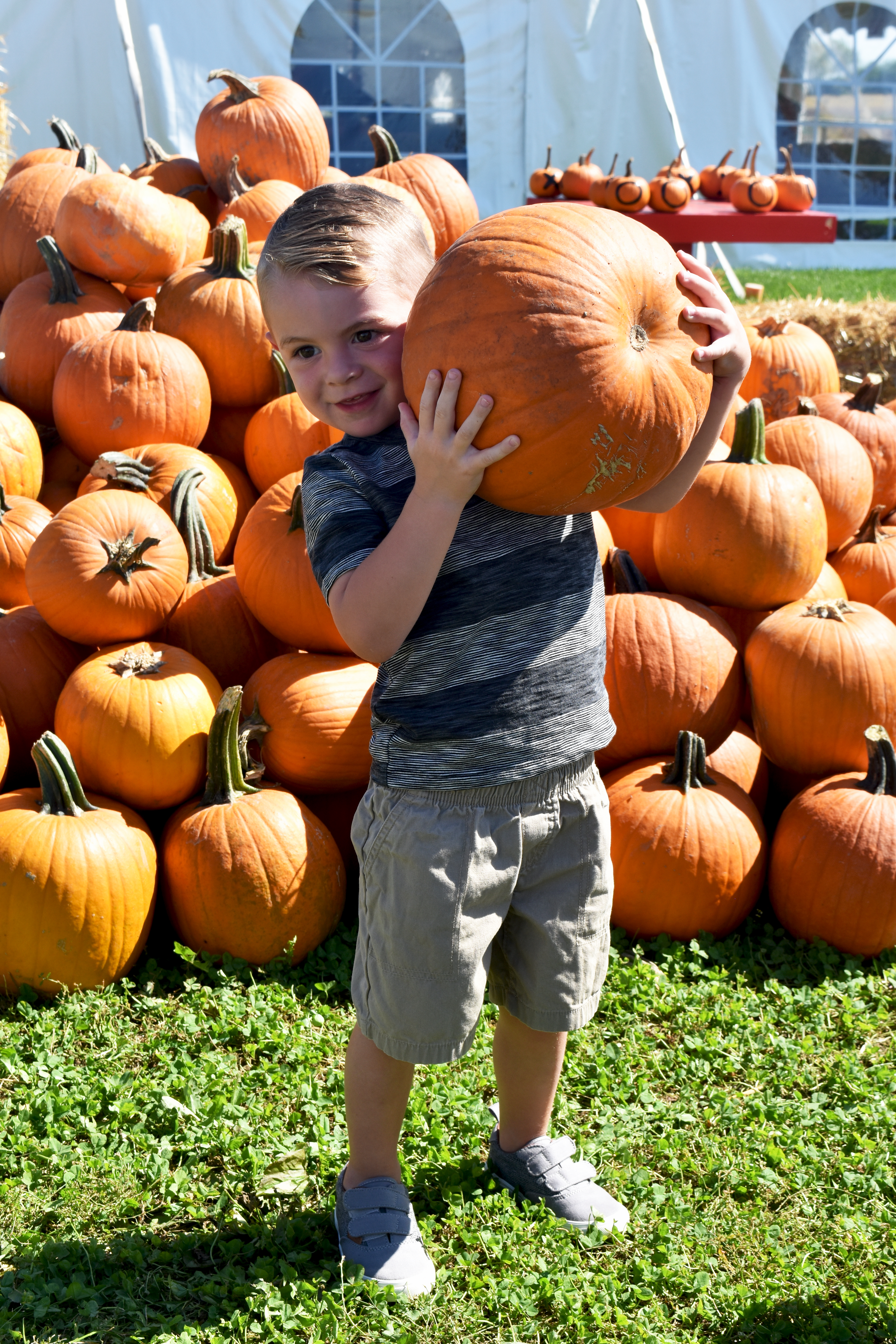 Kelsay Farms